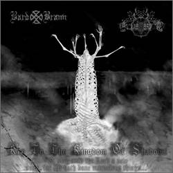 Bard Brann : Key to the Kingdom of Shadows